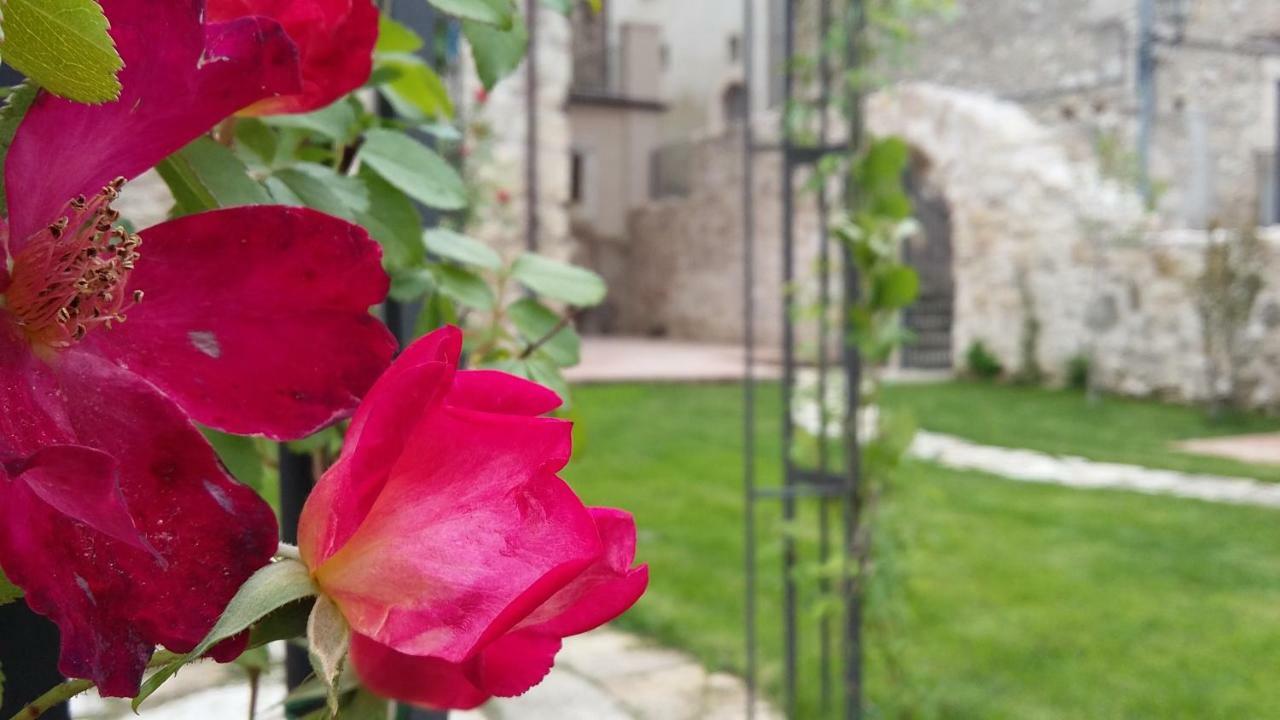 Вилла Alloggi Agrituristici Antica Dimora San Demetrio ne' Vestini Экстерьер фото